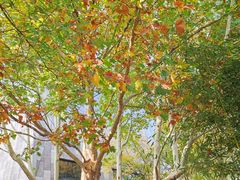 -招商银行(北京东三环支行)