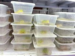 -华声天桥民俗文化园