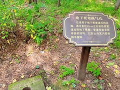 -虎头要塞