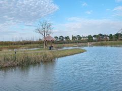 -春花秋色城市公园