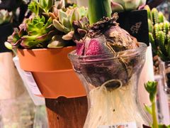 -KKV(深圳宏发大仟里店)