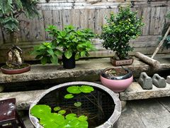 -文儒九号·闽菜馆(三坊七巷店)