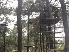 -铁山坪森林公园