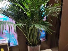 -老牌坊鲁菜名店(聊城美食岛店)