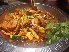 -0048鲜活香辣虾·火锅(铜陵路店)