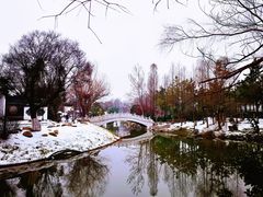 -武汉园博园(武汉自然博物馆)