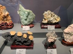 -湖南省地质博物馆