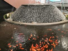 -新世界大丸百货