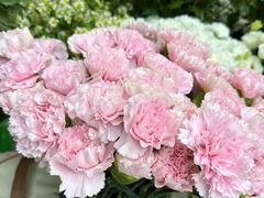 -亭亭鲜花店(中山北路店)