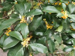 -杭州城北体育公园