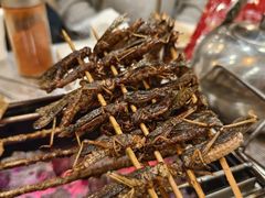 -小寒羊烧烤(凯瑞时代大厦店)