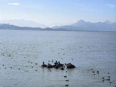 -深圳湾公园(南山区)