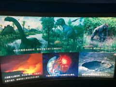 -上海昆虫博物馆