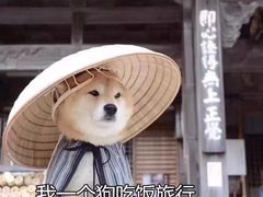 -英皇UA电影城(瑞虹天地月亮湾)