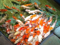 -常州海昌海洋探索馆