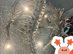 -国家自然博物馆