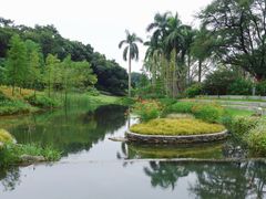 -云溪植物园