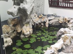 -丫丫蟹庄·苏式园林农家乐·阳澄湖大闸蟹(阳澄湖莲花岛店)