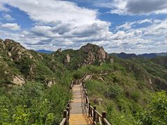 -大岭沟猕猴桃谷风景区