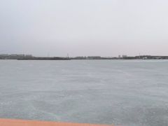 -丁香湖公园