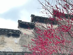 -黎阳老街