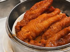 凤爪-金凯旋宫