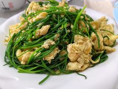 -煲来饱去冷水鱼