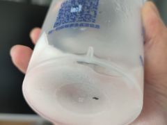 -陈多多·豆腐奶茶(沙湾路店)