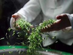 -兰剑驾校(汉阳校区)