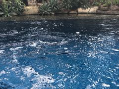 -厦门日月谷温泉渡假村