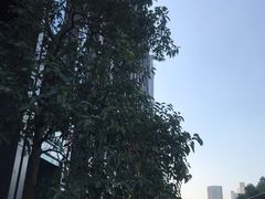 -西湖国际-停车场