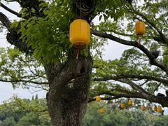-江心屿景区