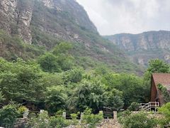 -幽岚山·童话森林