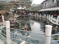 -湖鲜楼