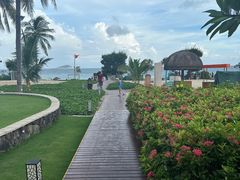 -亚龙湾希尔顿自助餐厅·海鲜·烧烤·沙滩BBQ·现场乐队
