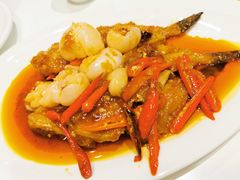 -付掌柜在成都·热炒砂锅集(金禾店)