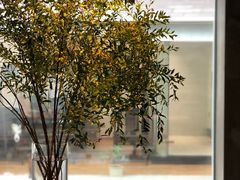 -曲廊院(东四十一条店)