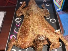 -九十九顶毡房(阜石路店)