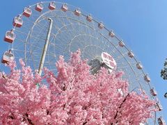 -东湖生态旅游风景区