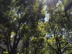 -碧云新天地家园