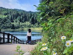 -武陵山森林公园