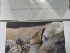 -台北地下街