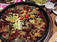 -老板恋上鱼(恒隆广场店)