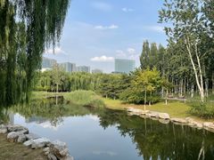 -大兴滨河森林公园