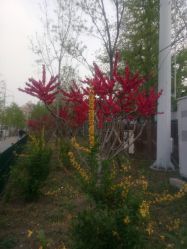 点击看大图 -小鬼当佳儿童摄影(通州外拍店)