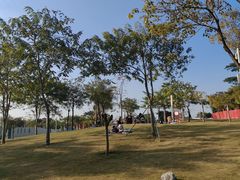 -白石龙音乐公园