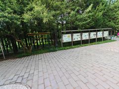 -元大都城垣遗址公园