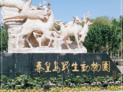 -秦皇岛野生动物园