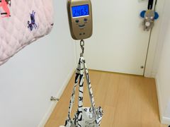 -东方名猫馆·英短金渐层布偶猫舍(环线广场1号楼店)