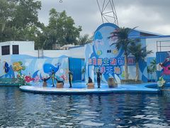 -深圳野生动物园